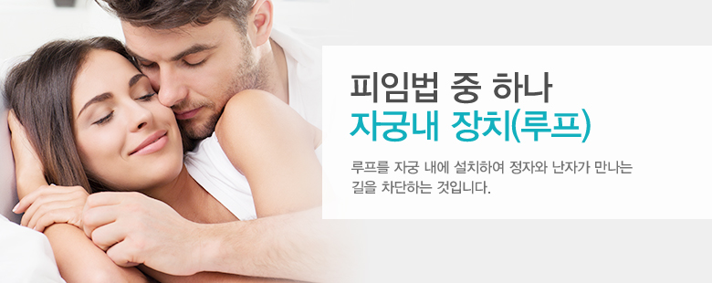 피임법 중 하나 자궁내 장치(루프)