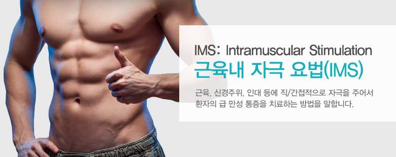 IMS: Intramuscular Stimulation 근육내 자극 요법(IMS)