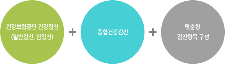 건강보험공단 건강검진 (일반검진, 암검진) + 종합건강검진 + 맞춤형 검진항목 구성