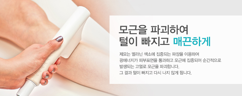 고열로 모근을 파괴하는 IPL 제모